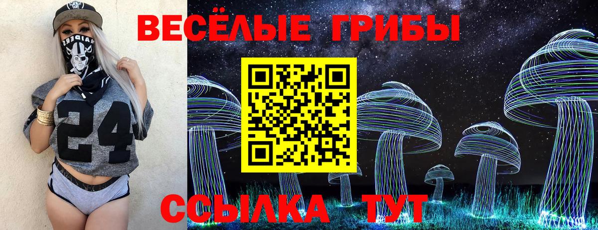 Альметьевск  Псилоцибиновые грибы ЛСД  Вход с VPN 